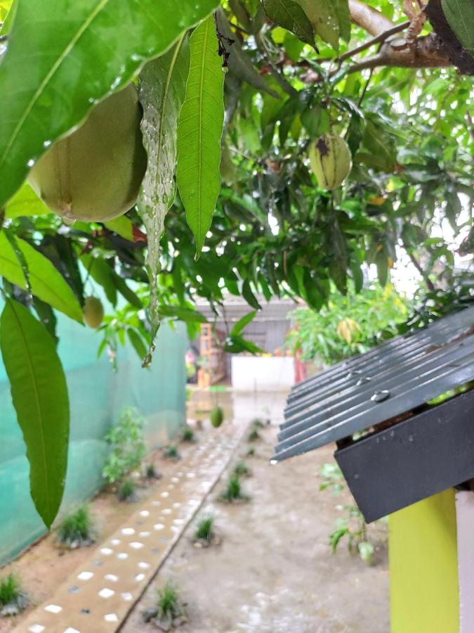 Stargaze Backpackers Hostel Guwahati Exterior foto